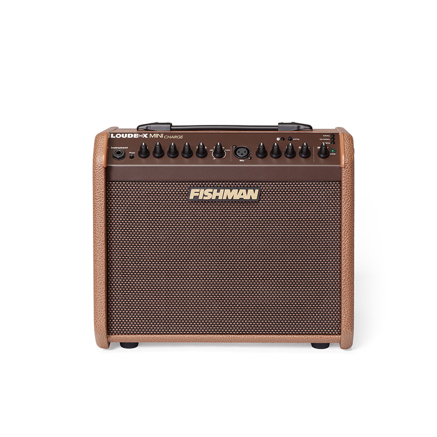 Mini deals acoustic amp