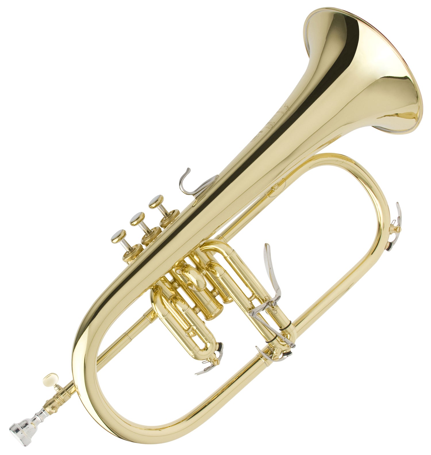 Bobby shew outlet flugelhorn